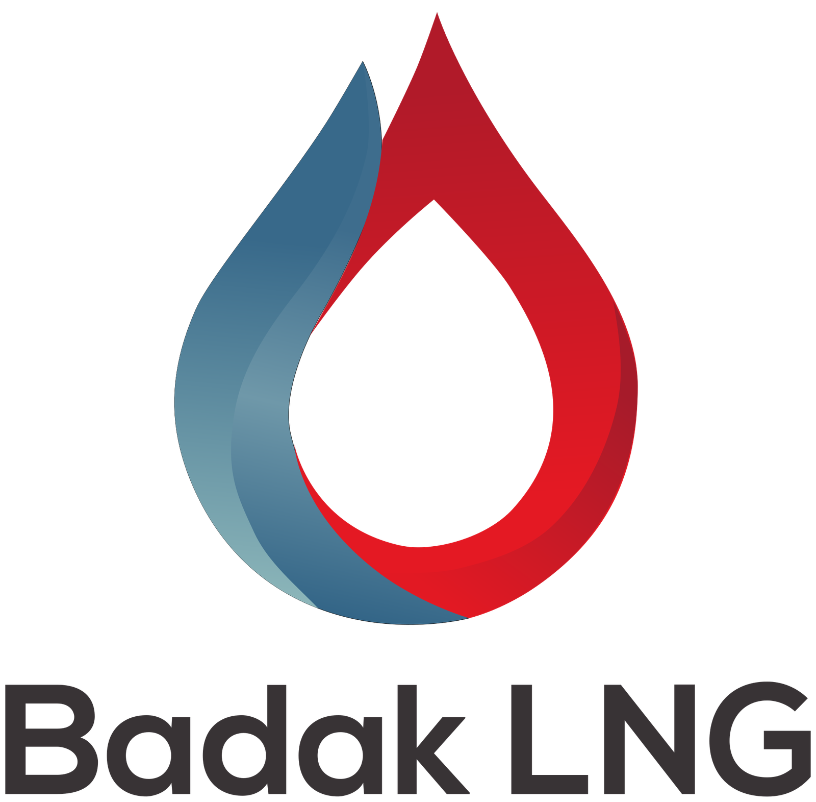 Badak LNG logo